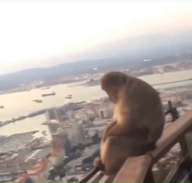 Такова сила настоящих чувств.