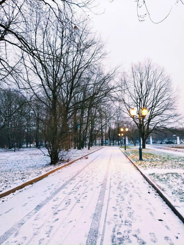 Второй «первый» снег в Москве
Снежный покров сформир...