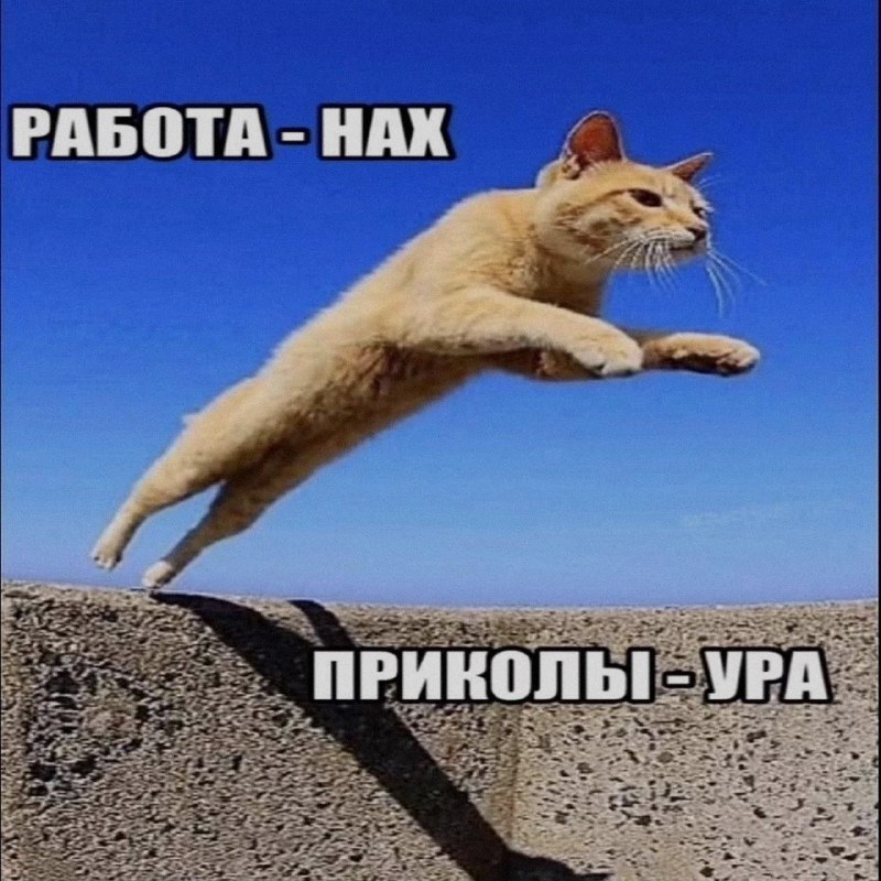 Ночная подборочка
Спать, режим