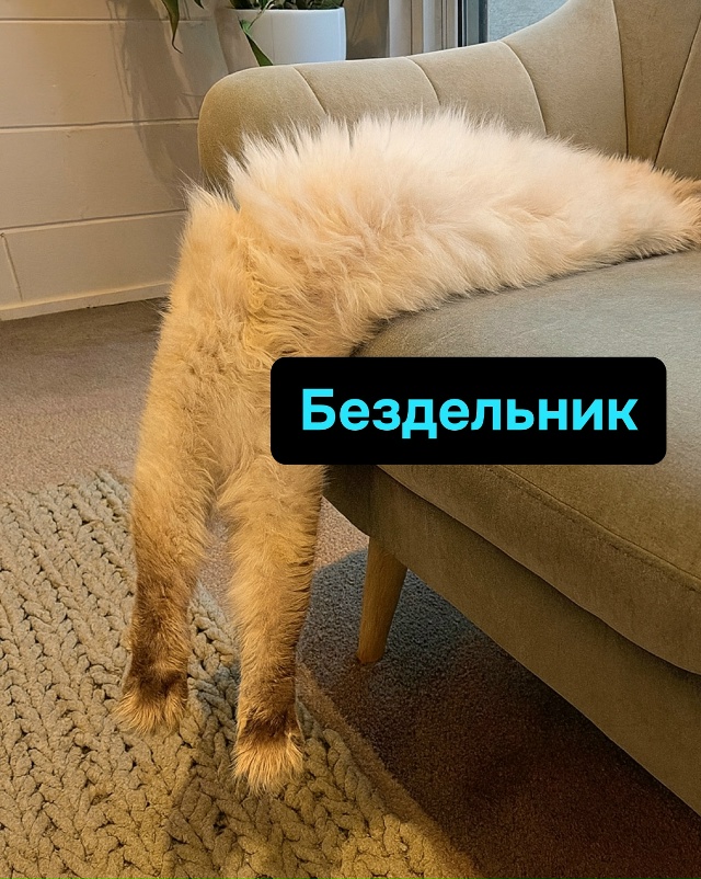 Рабочие дни придуманы зря, ведь по факту жить можно тол...