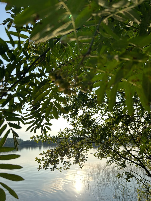 Доброе утро, Окуловка