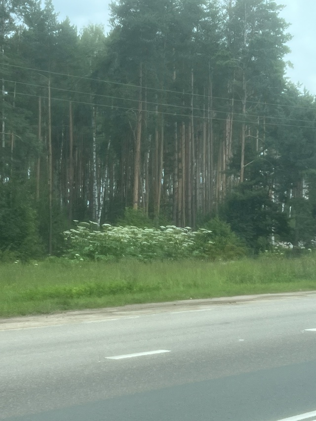 Срочно
Прошу обратить внимание властей, что после зап?...