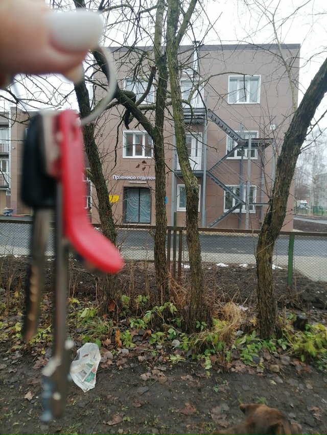 Нашли ключи, на алее паралельно КМБ, повесели напротив ...