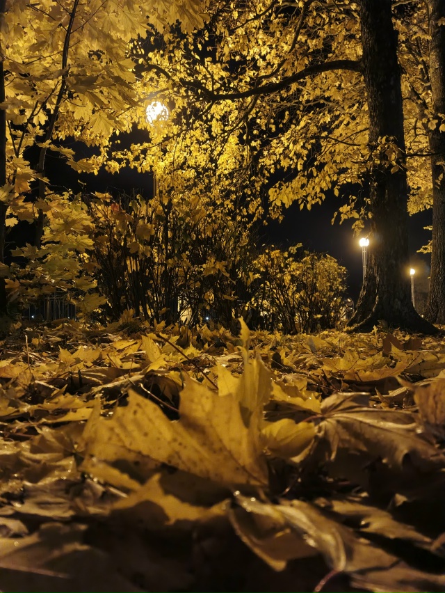 Эх золотая , туманная осень 🍁