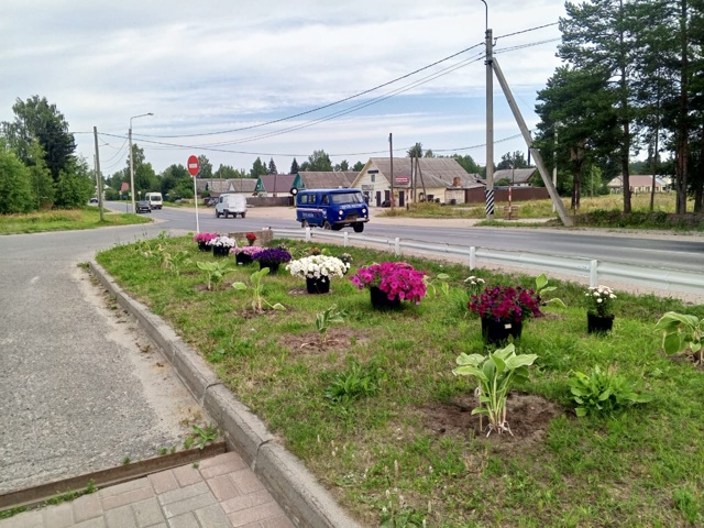 На заправке улицы Кирова. Спасибо за красоту! 🌸🌼🌺
А ?...