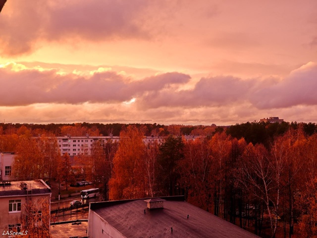 Спокойной ночи ?
Фото: Юрий Жарков