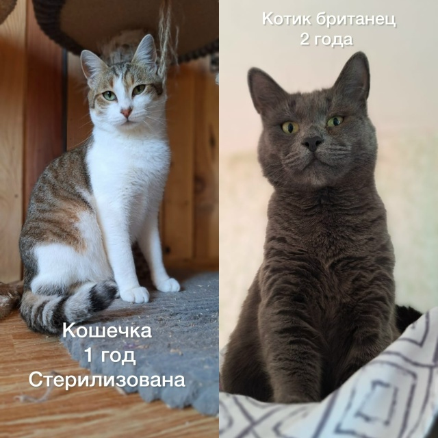 К ПРОЧТЕНИЮ КАЖДОМУ ЖИТЕЛЮ НАШЕГО ГОРОДА‼️
Забота о ?...