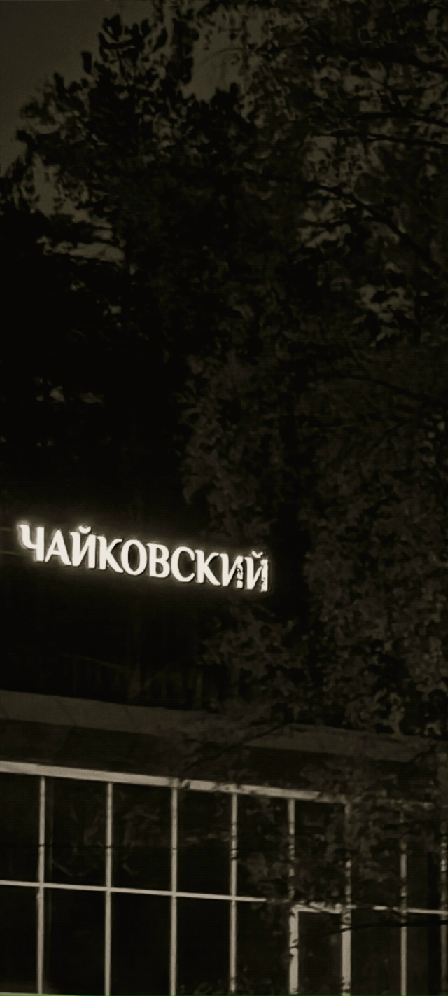 Чёрно-белый Чайковский.
Фото: Любовь Уросова