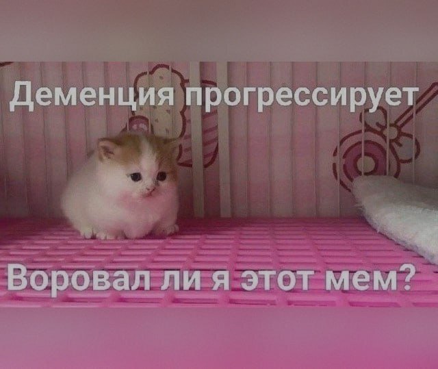 Нейросети приводят к «цифровой деменции»
ИИ снижает способность человека самостоятельно принимать р