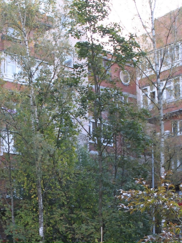 Доброе утро, Петергоф ☀️
#фото #Петергоф