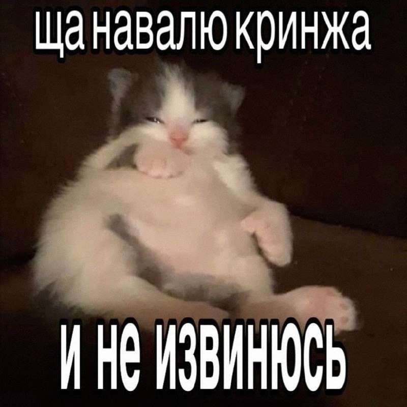 Утренняя подборочка