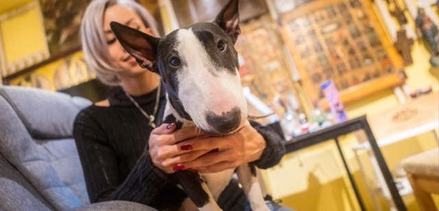 🐶 В кафе могут запретить приход с животными
Депутат Г...