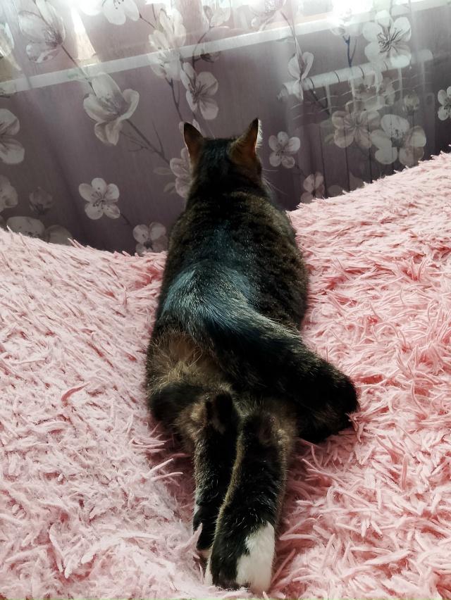 Передом и задом))) 🤗