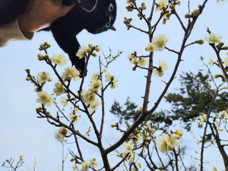 Весенняя фотосессия