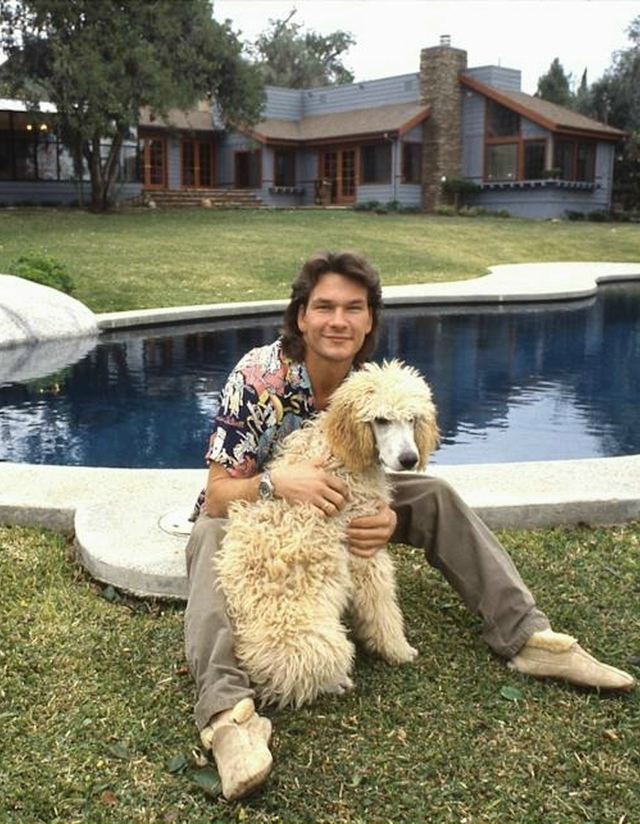 ОНИ СКАЗАЛИ МНЕ, ЧТО МОЙ ДОМ ПАХНЕТ СОБАКАМИ, И Я СПРОСИ...