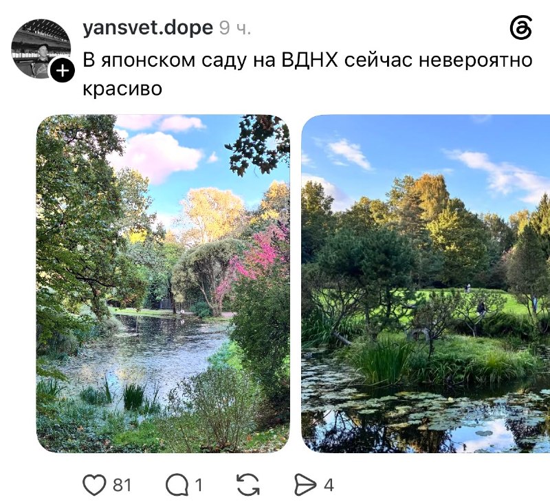 Божечки, гляньте, как сейчас красиво в японском саду на ВДНХ! Отправляемся туда за дозой дофамина 😱