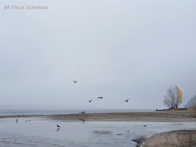 Туманы октября - это напоминание о том,
что все меняетс?...