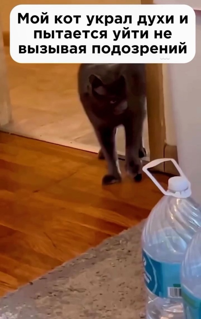 Нуууу, у него получилось ?