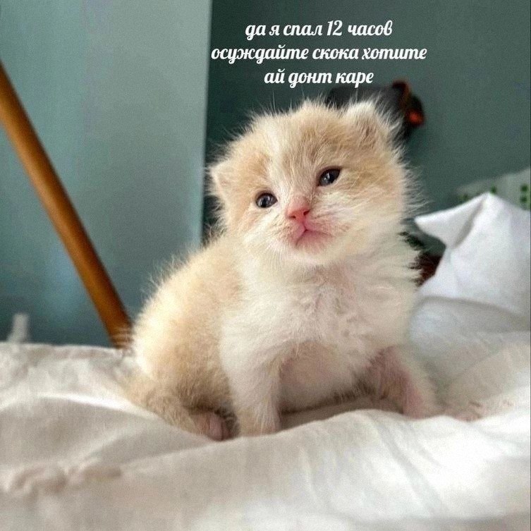 Утренняя подборочка