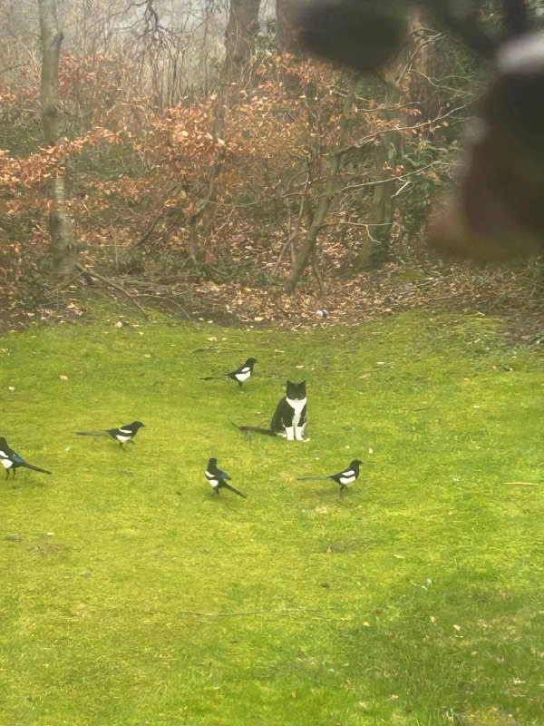 Лидер должен выделяться