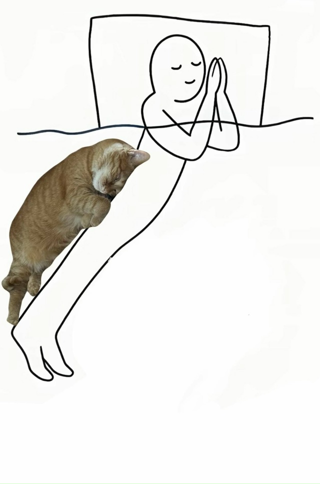 Трудно представить если будет два кота