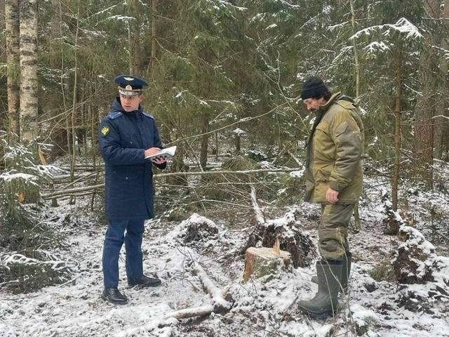 ⚖️ В Екатеринбурге осудили за контрабанду леса
49-лет?...