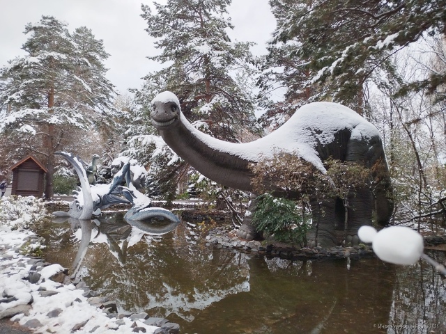 🦕 Динoзaвpики в зacнeжeннoм зooпapкe
Φoтo: Ингa Рaдугa
