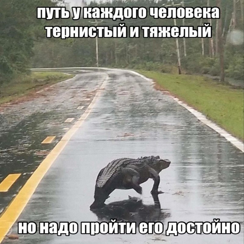 Утренняя подборочка