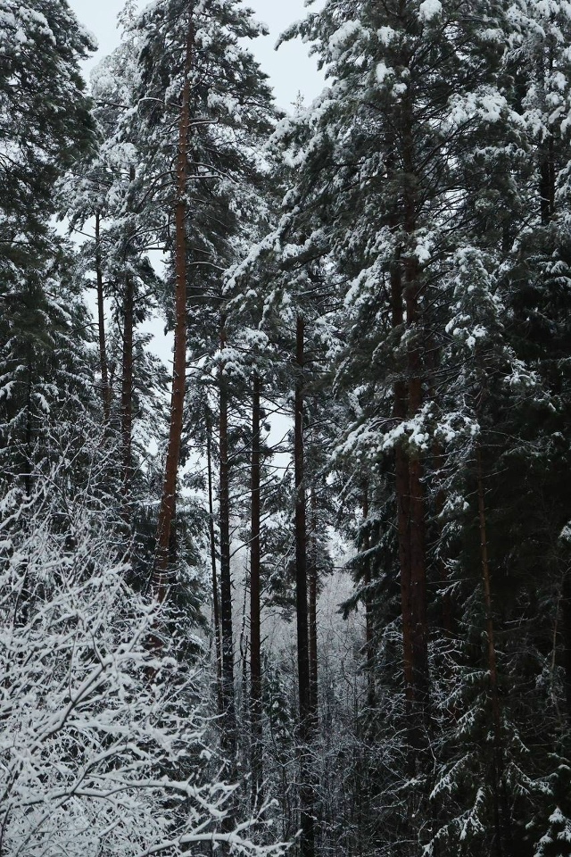❄️Снежный Красноуфимск в объективе Вадима Шамсияров?...