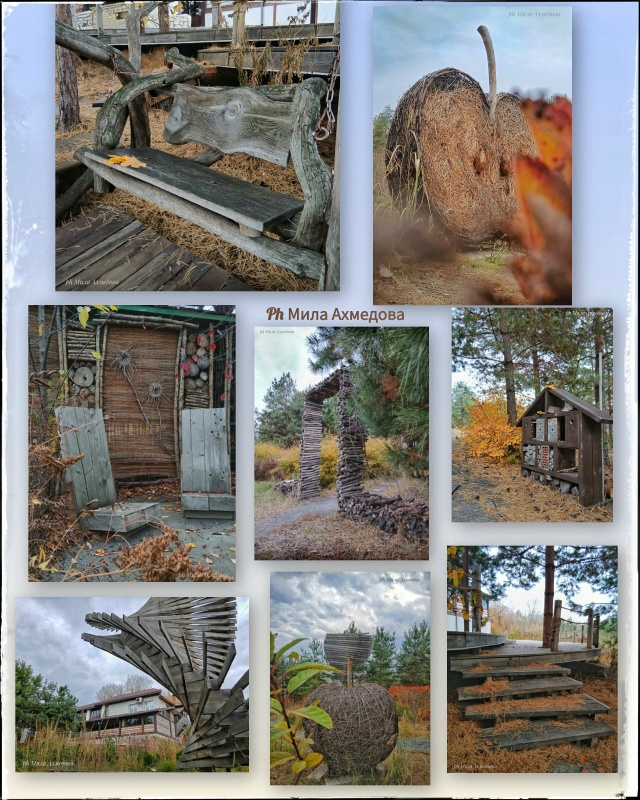 Впереди выходные, погода без дождя.🌤 Прекрасная возмо...