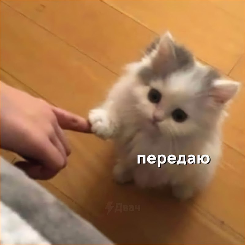 Сегодня отмечается Всемирный день доброты