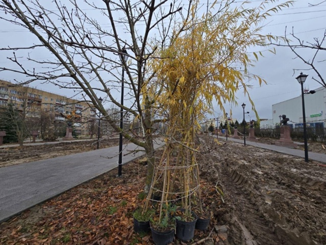 В Можайске в сквере «Аллея Героев» завершают укладку п...