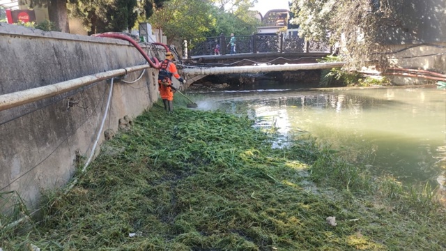 🌿 В Ялте на этой неделе специалисты ДЭУ провели качес?...