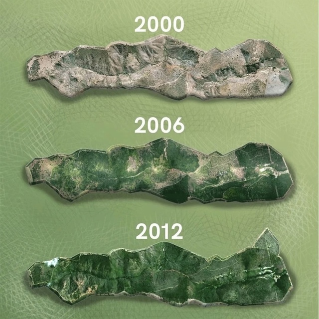 B Бpaзилии cyпружеская пapa за 20 лет пocадила 2 миллиoна дepeв?...