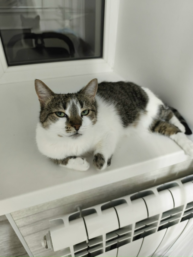 Что надо?
#ЛарисаВячеславовна