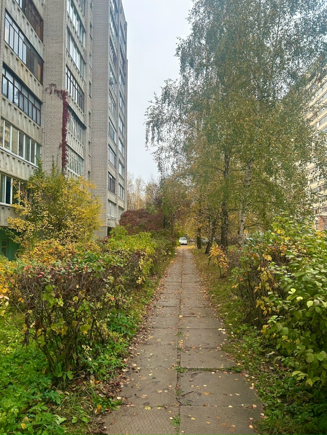 И еще немного поздней осени