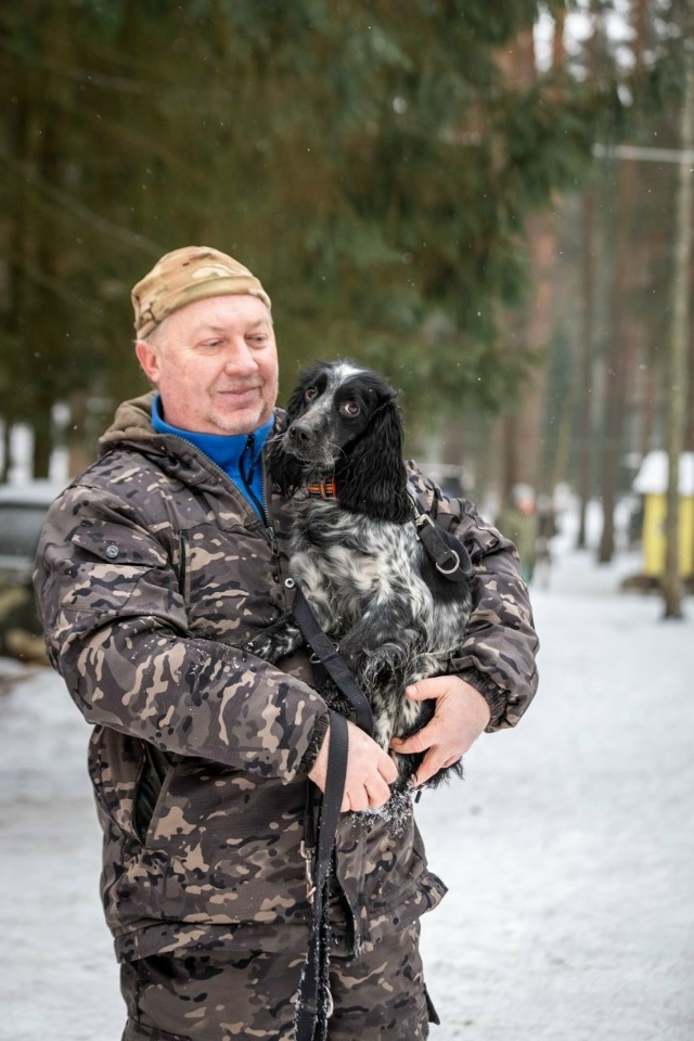 ПОТЕРЯЛАСЬ СОБАКА. РУССКИЙ ОХОТНИЧИЙ СПАНИЭЛЬ.ПО КЛИЧ?...