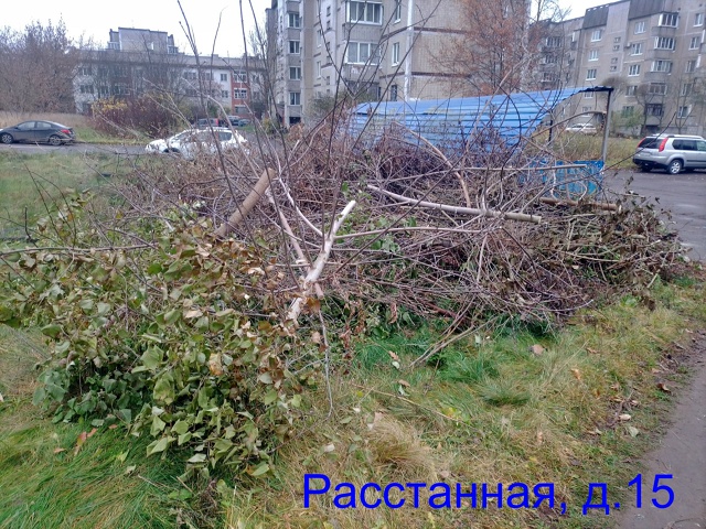 На днях Глава 47-го региона Александр Дрозденко провел ?...