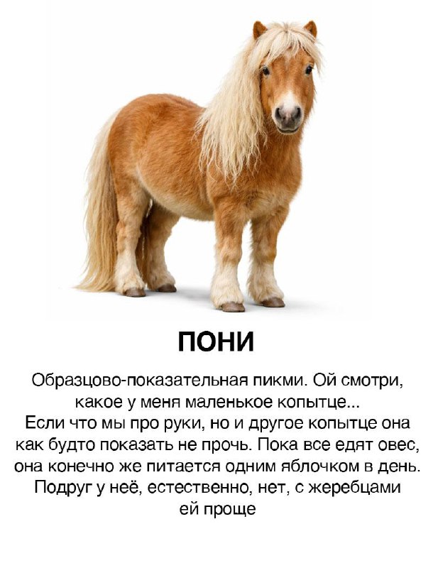 Год лошади, поэтому по традиции, «Девушки как лошадки»
Кто ты? И отправляй подружаням