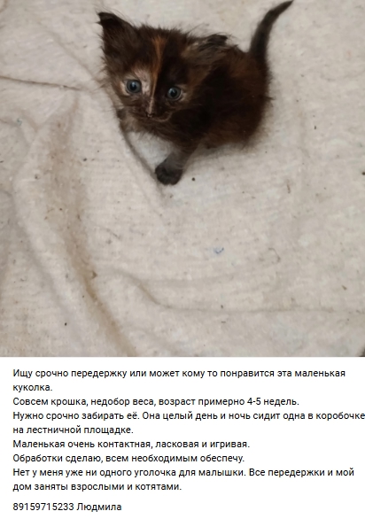 Пост добра. Распространите, пожалуйста.