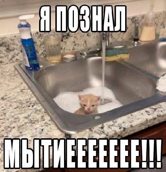 Утренняя подборочка