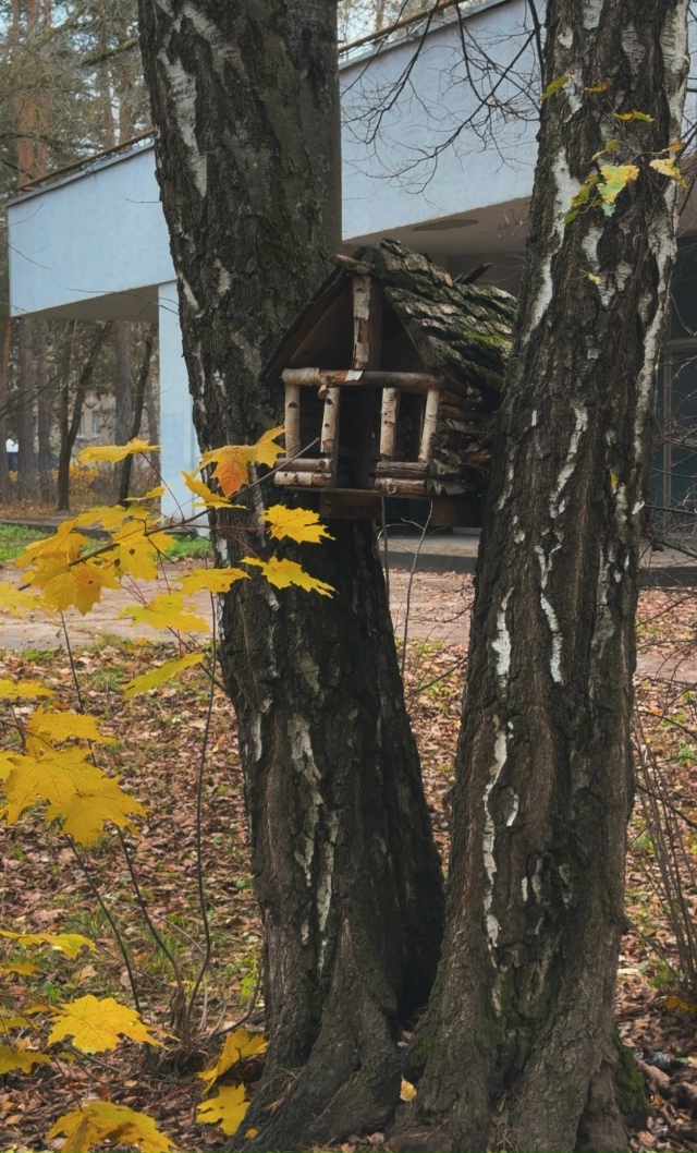 Парк «Сказка» в г. Протвино
Фото : Виты Осиной