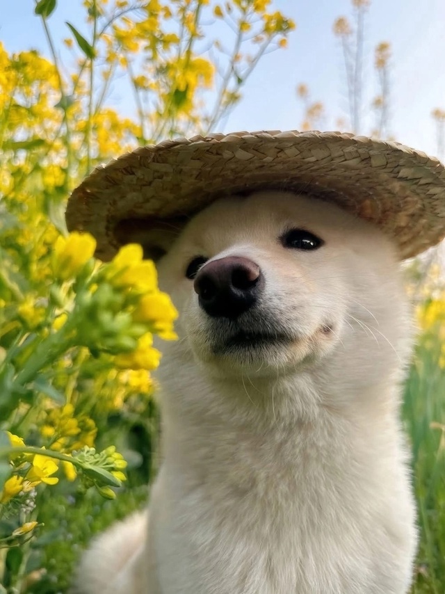 Хороший мальчик смотрит на хорошего человека