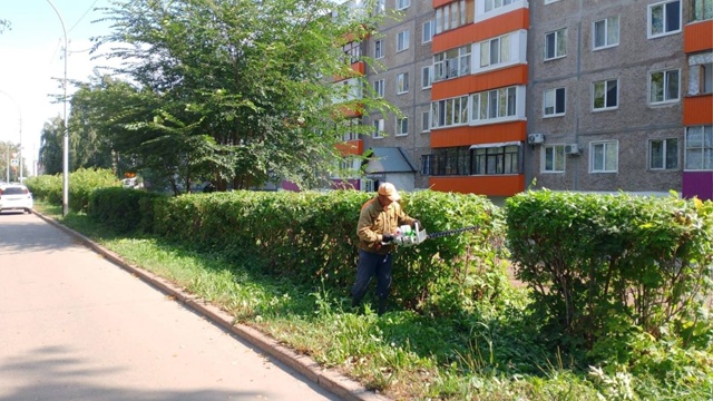 В Салавате полным ходом идет стрижка кустарников🌳 Р?...