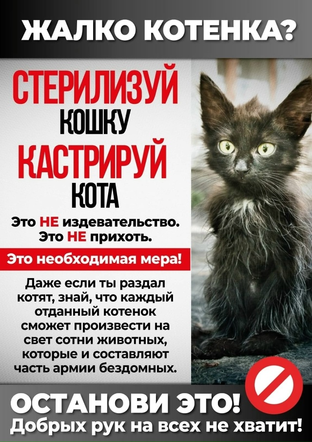 ‼️‼️‼️ ВНИМАНИЕ
22 НОЯБРЯ и ЕЖЕМЕСЯЧНО (2 раза в мес?...