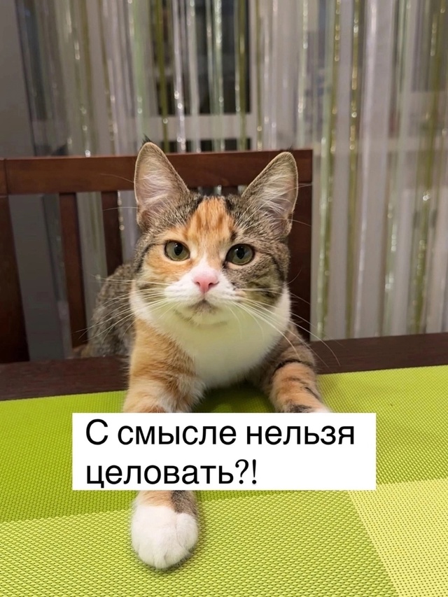 =»»