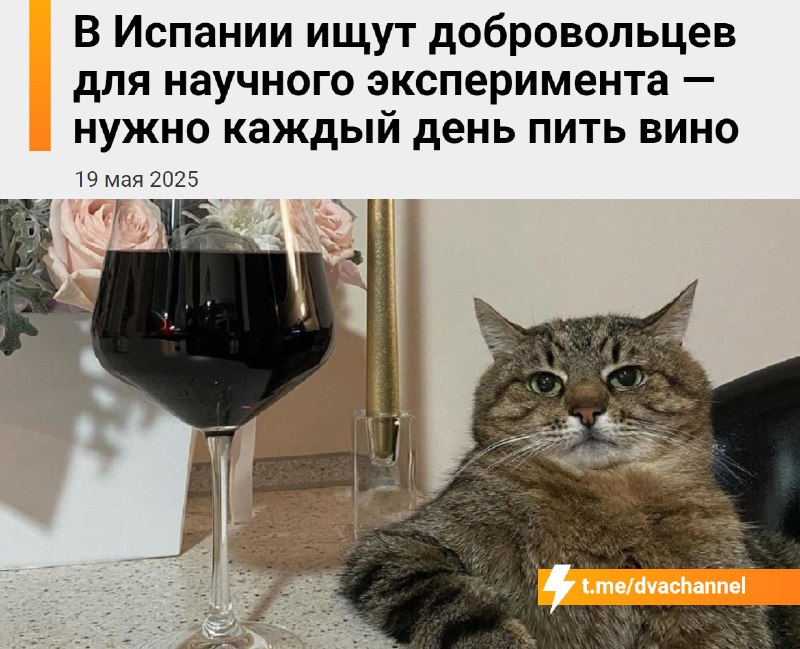 В Испании ищут людей, которые… будут пить вино каждый день на протяжении 4 лет
Учёные из Университе