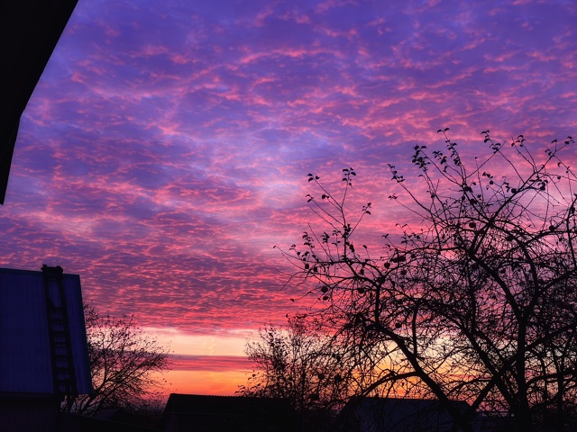 Доброго октябрьского утречка❤️🔥