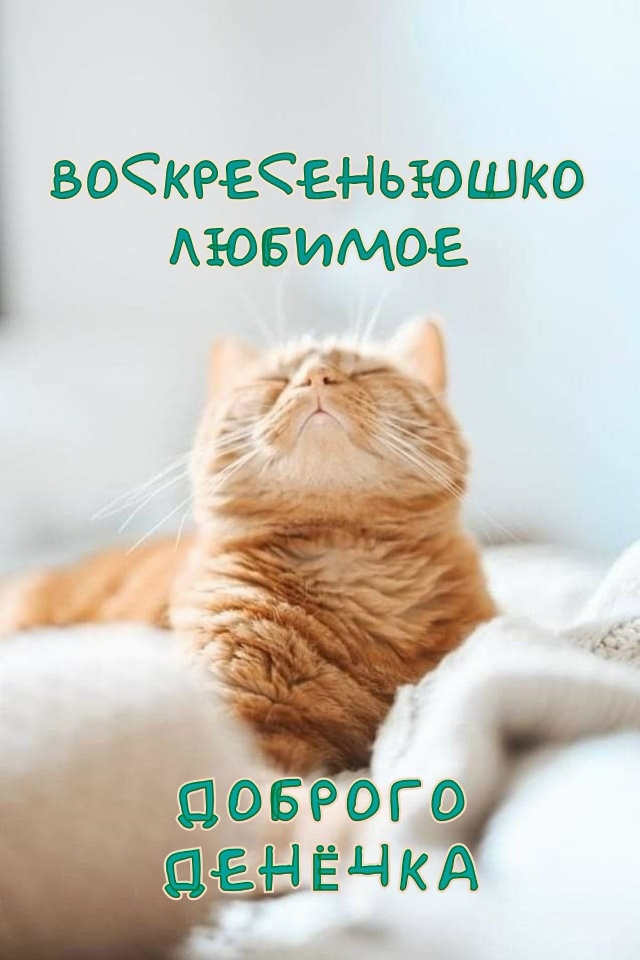 ☀️ ДОБРОЕ УТРО, НАРЬЯН-МАР! ВОСКРЕСЕНЬЕ — ДЕНЬ ОТДЫХА
...