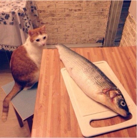 Наглость второе счастье!!!😃